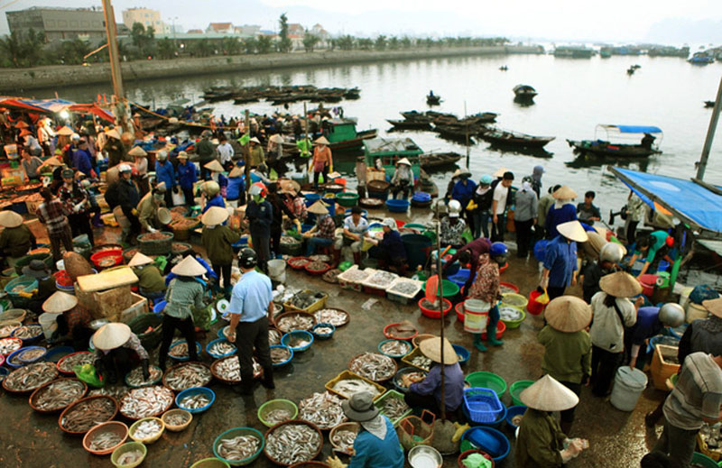 chợ hải sản móng cái
